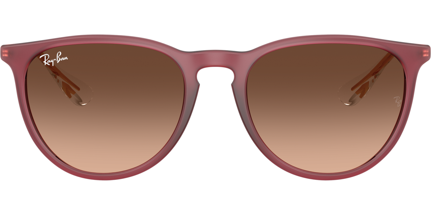 Ray-Ban Erika 0RB4171