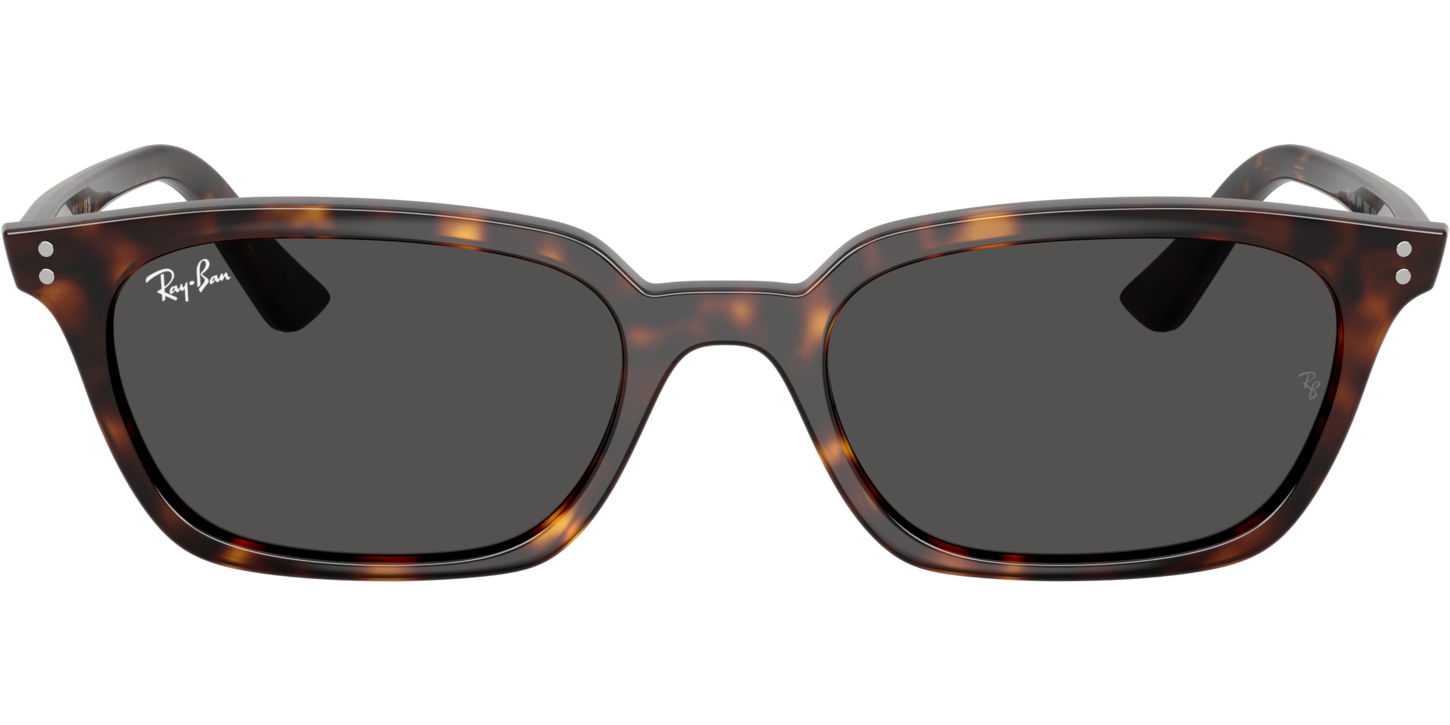 Ray-Ban ZAYA 4456