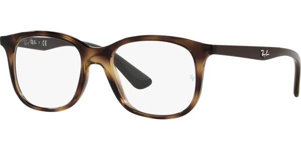 Ray-Ban 1604 image number null
