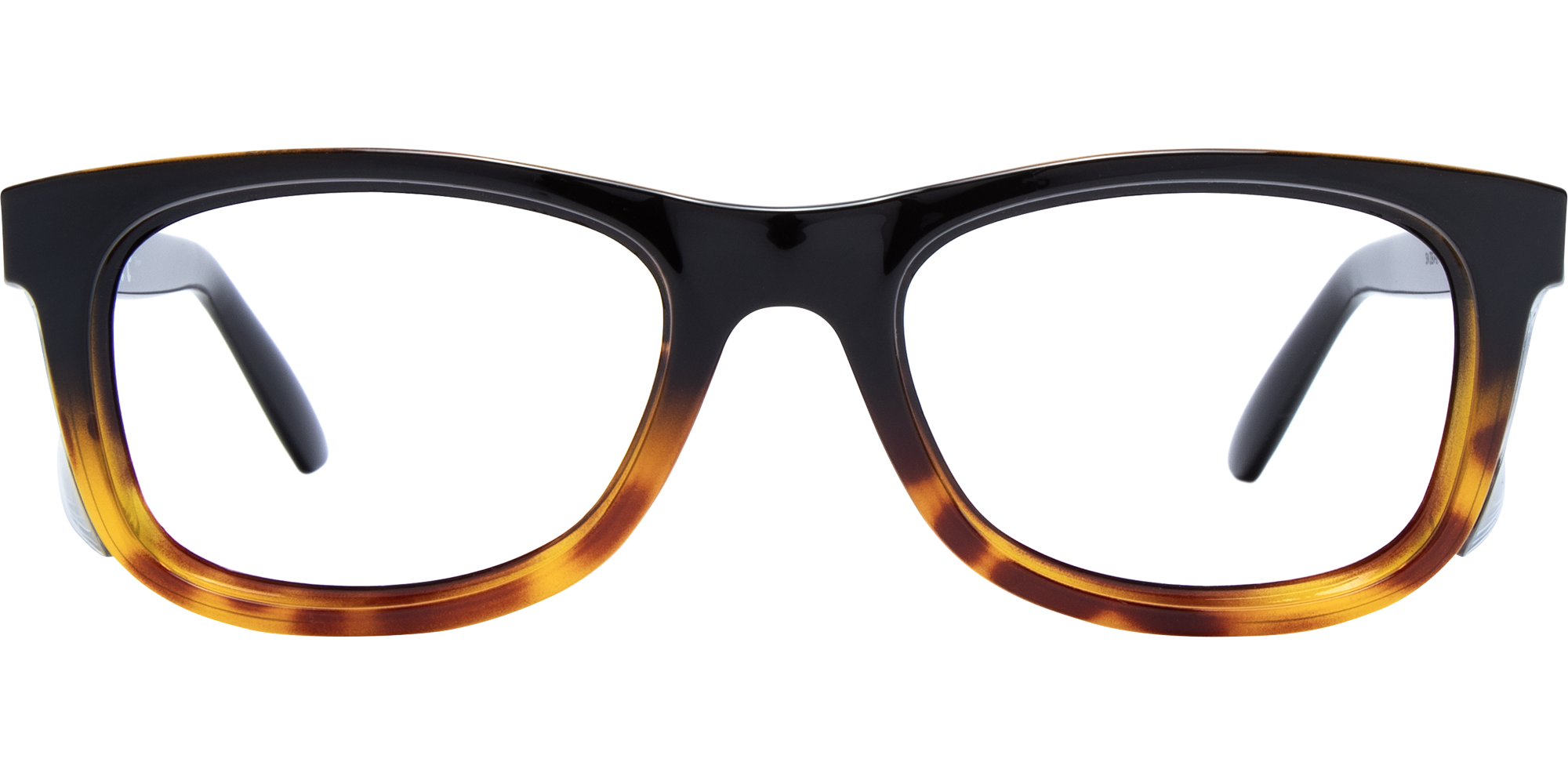 SafeVision Echo