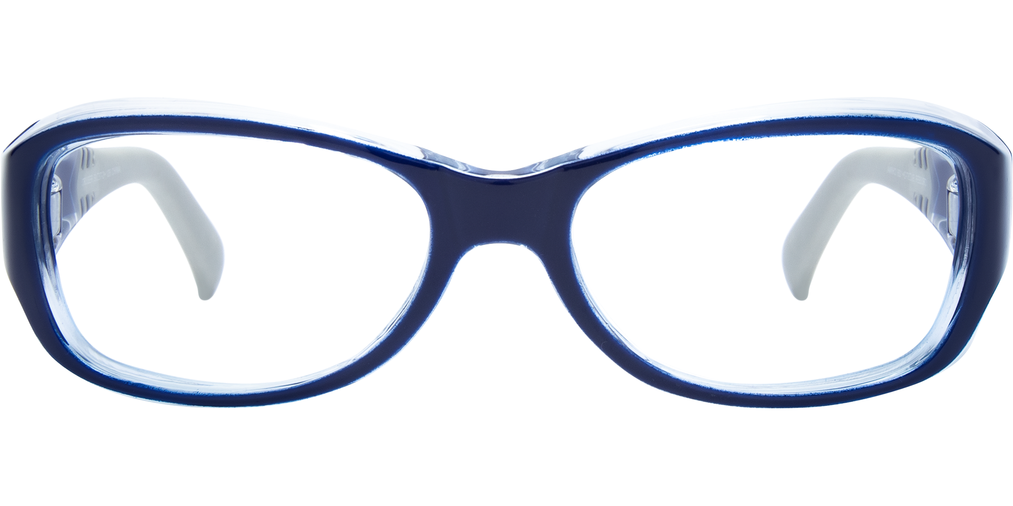 SafeVision Cruiser