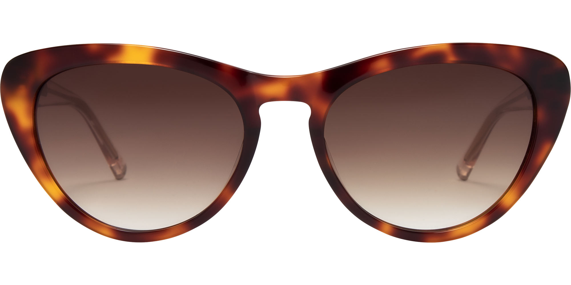 Ted Baker Violet TB1690