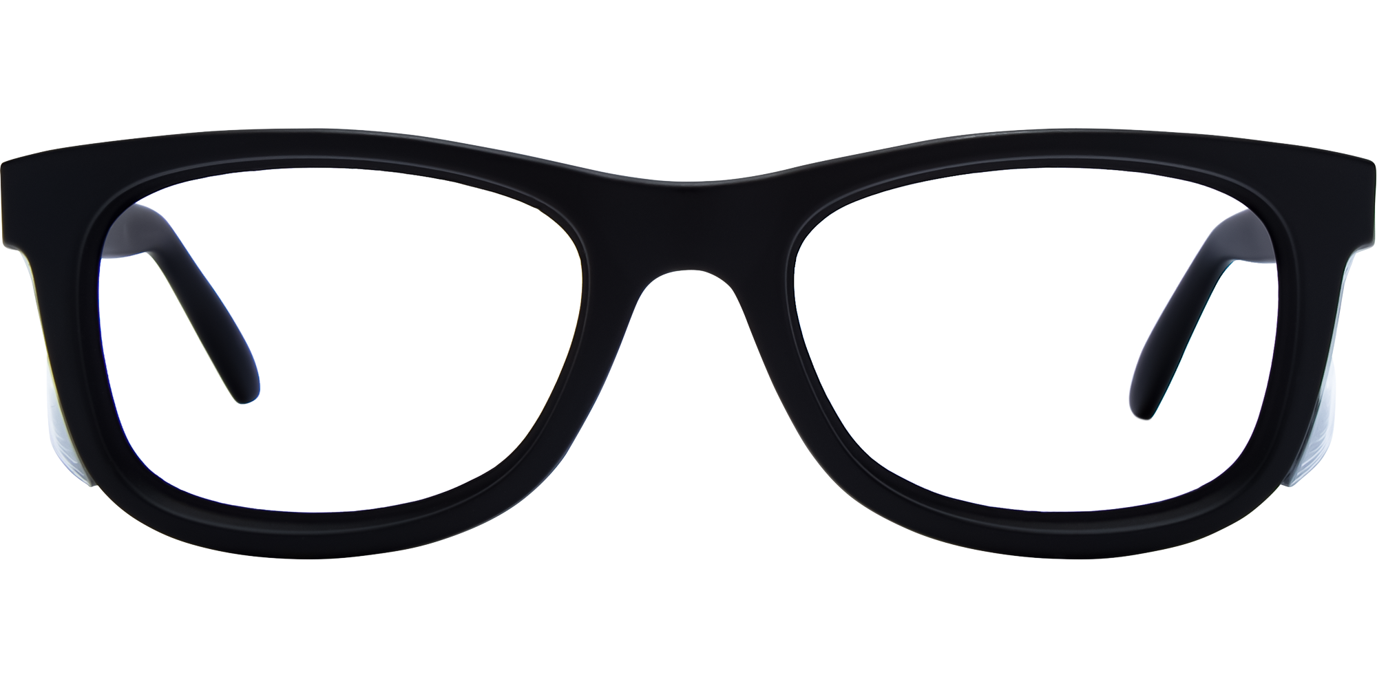 SafeVision Echo