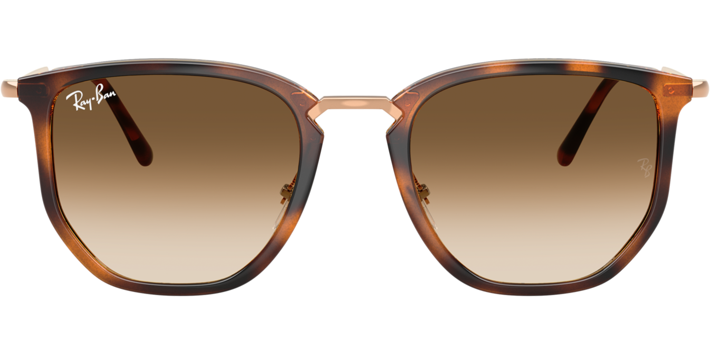 Ray-Ban 0RB4451 image number null