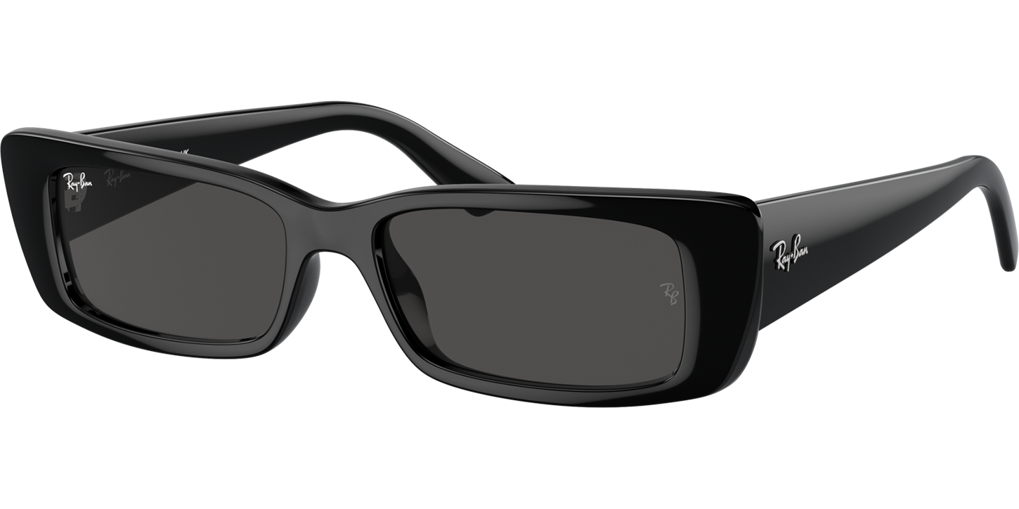 Ray-Ban TERU 4425 image number null