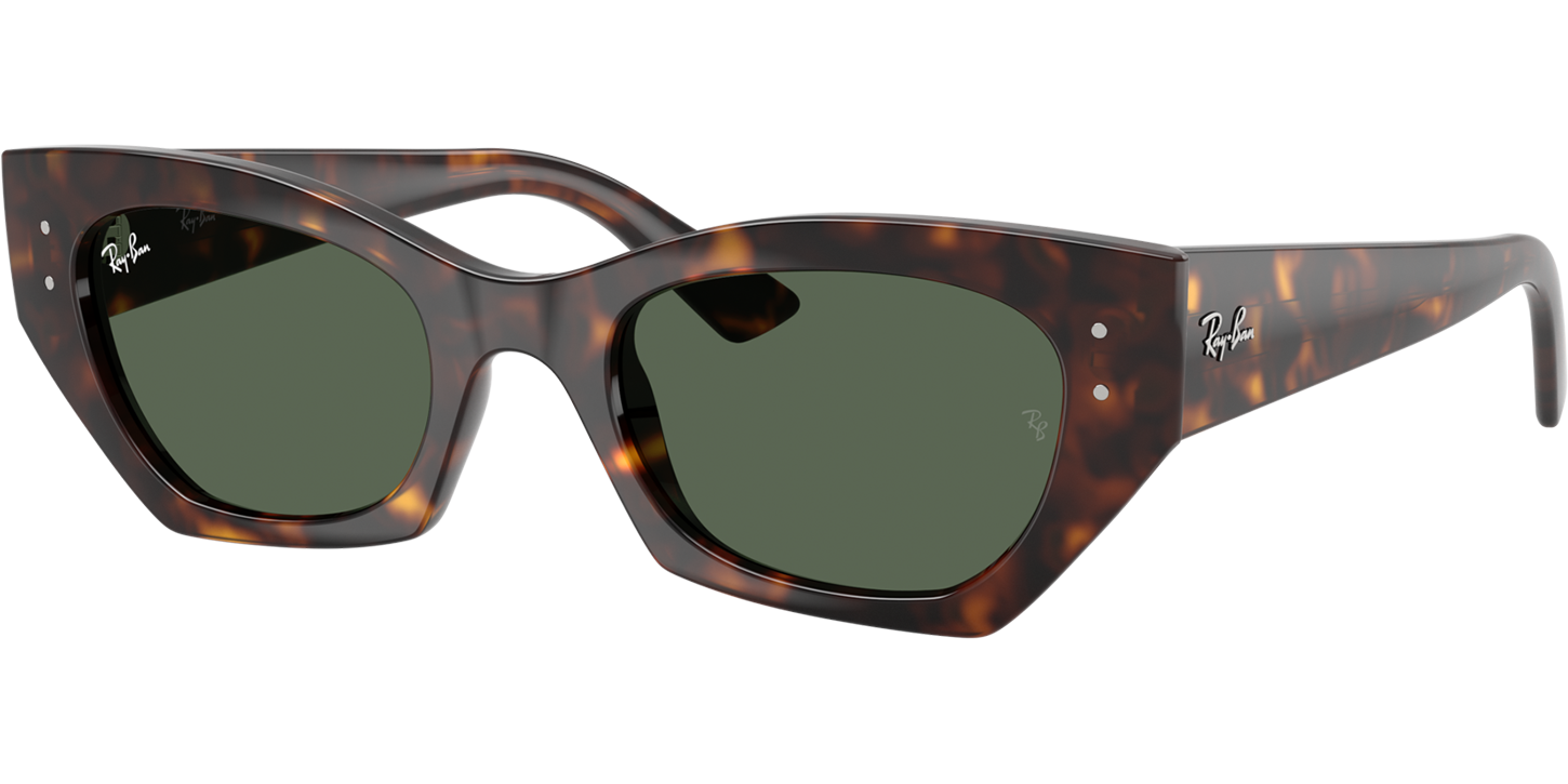 Ray-Ban Zena 4430 image number null
