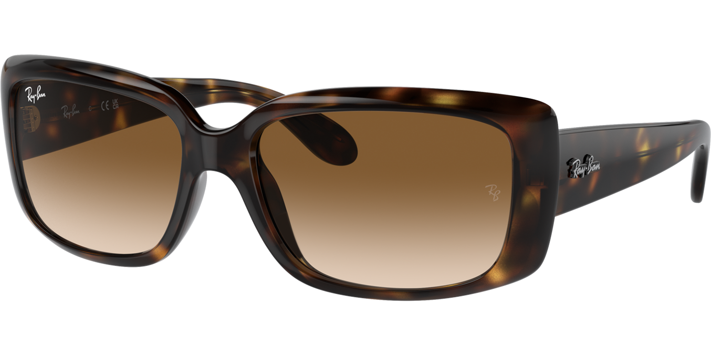 Ray-Ban 4389 image number null