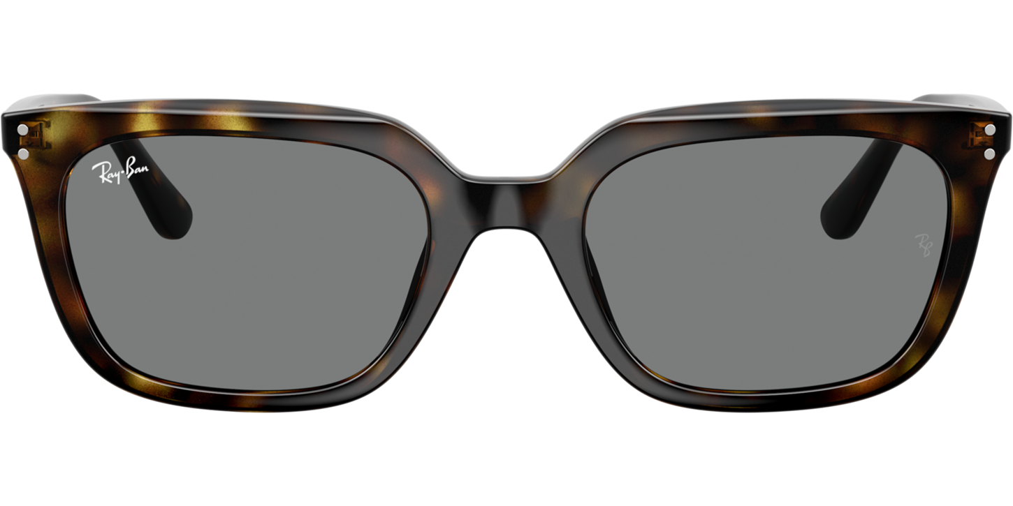 Ray-Ban 4439D image number null