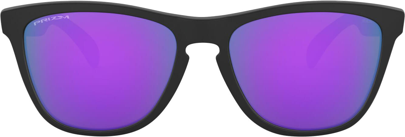 Oakley FROGSKINS image number null