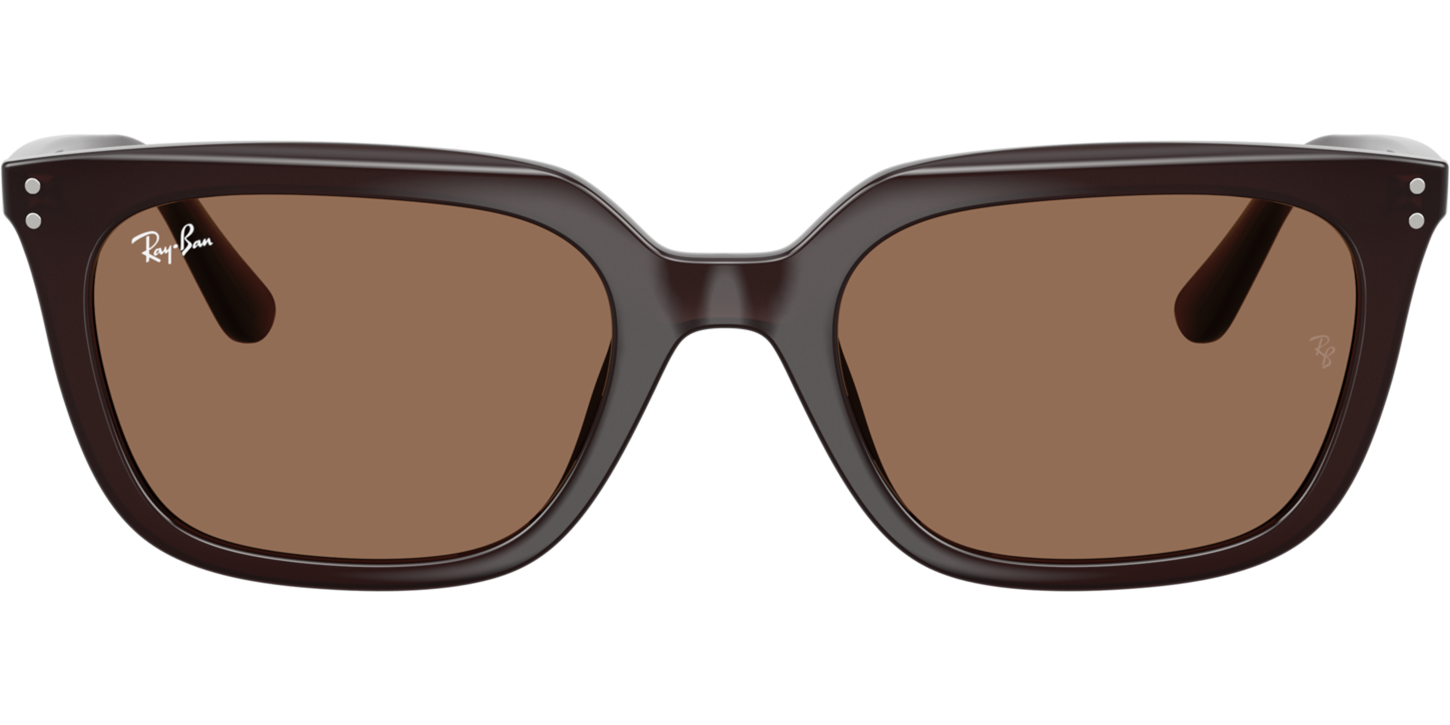 Ray-Ban 0RB4439D image number null
