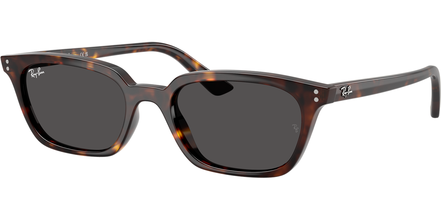 Ray-Ban ZAYA 4456 image number null