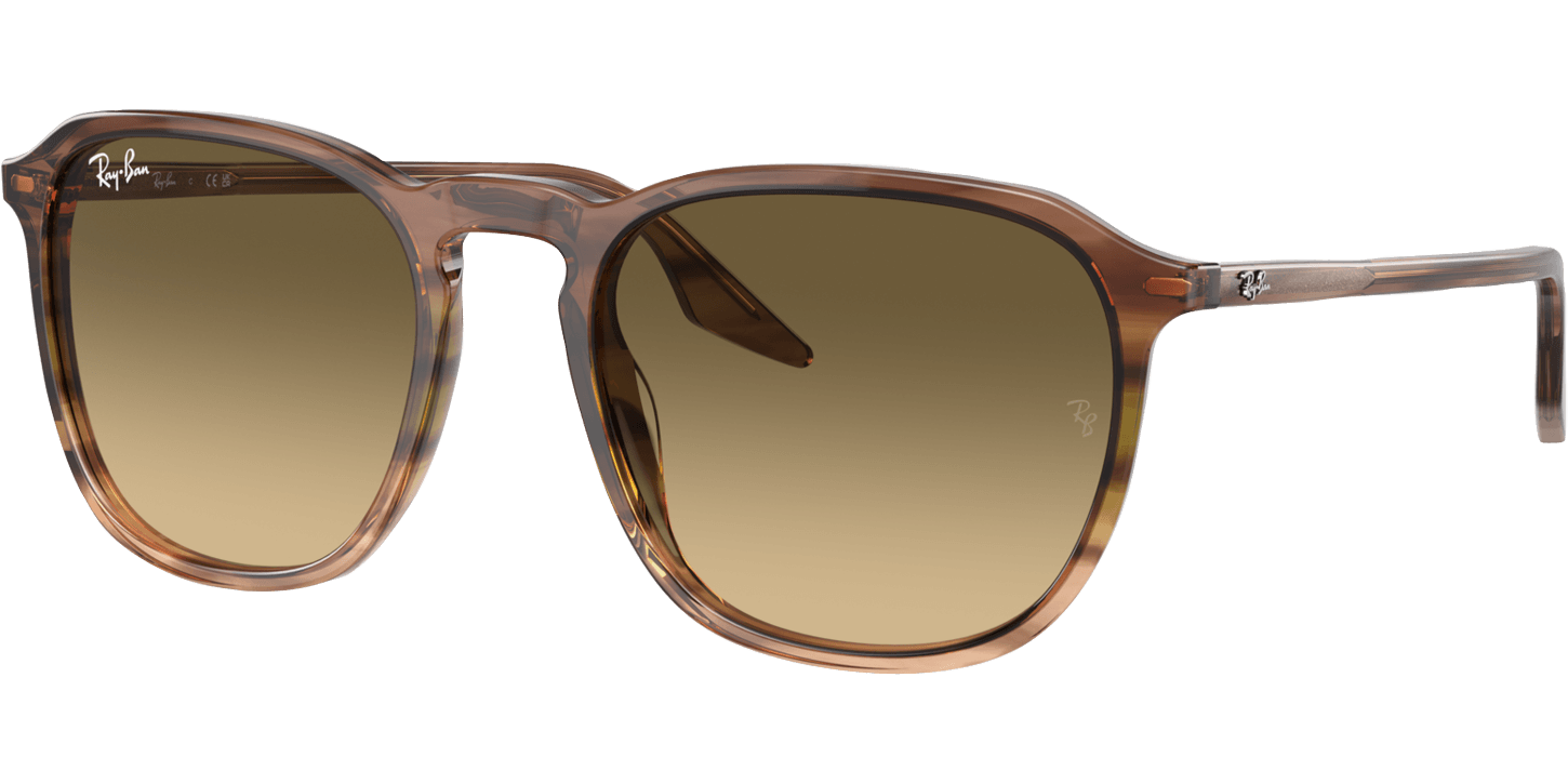 Ray-Ban 2203 13920A image number null
