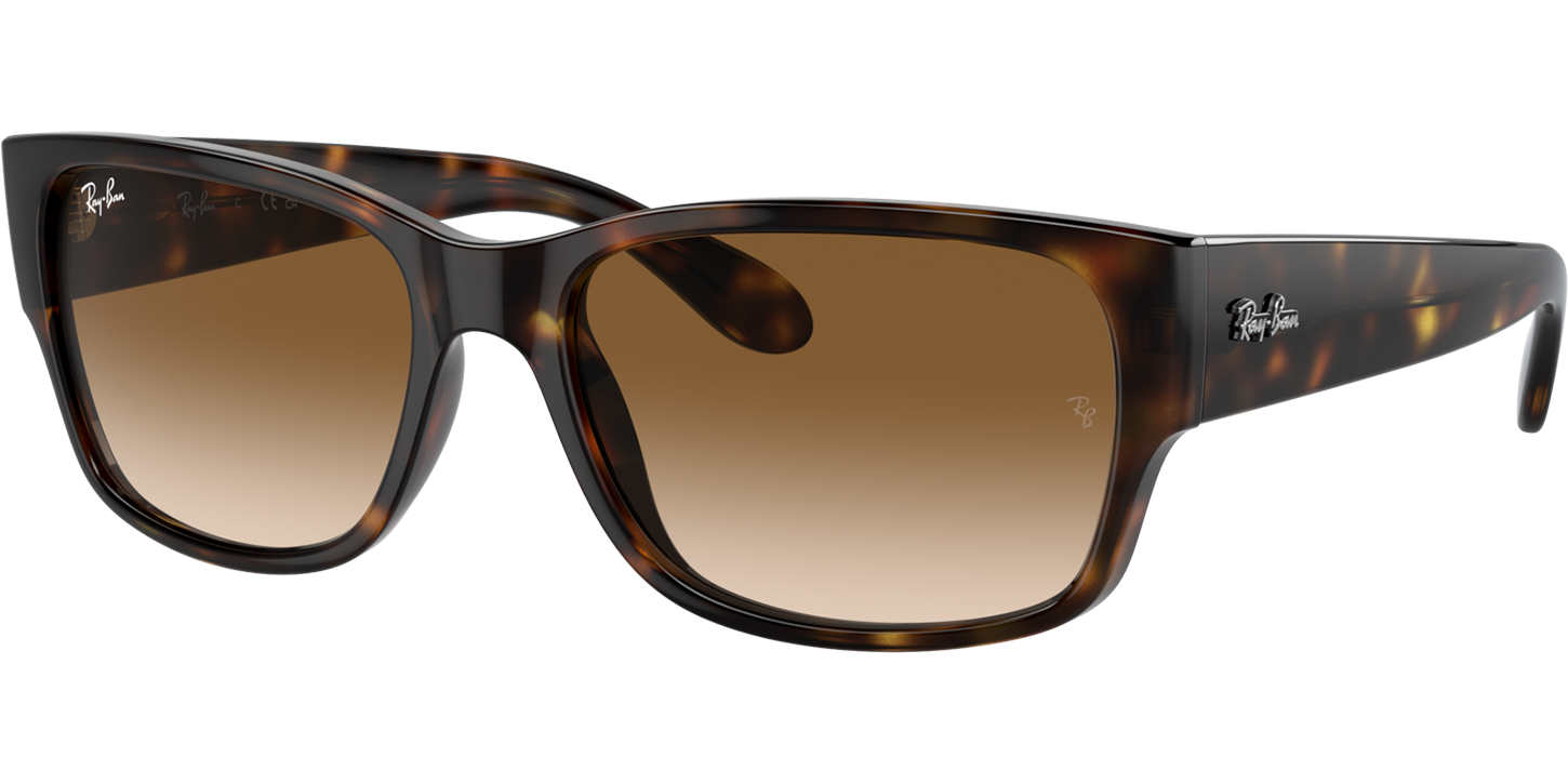 Ray-Ban 4388 image number null