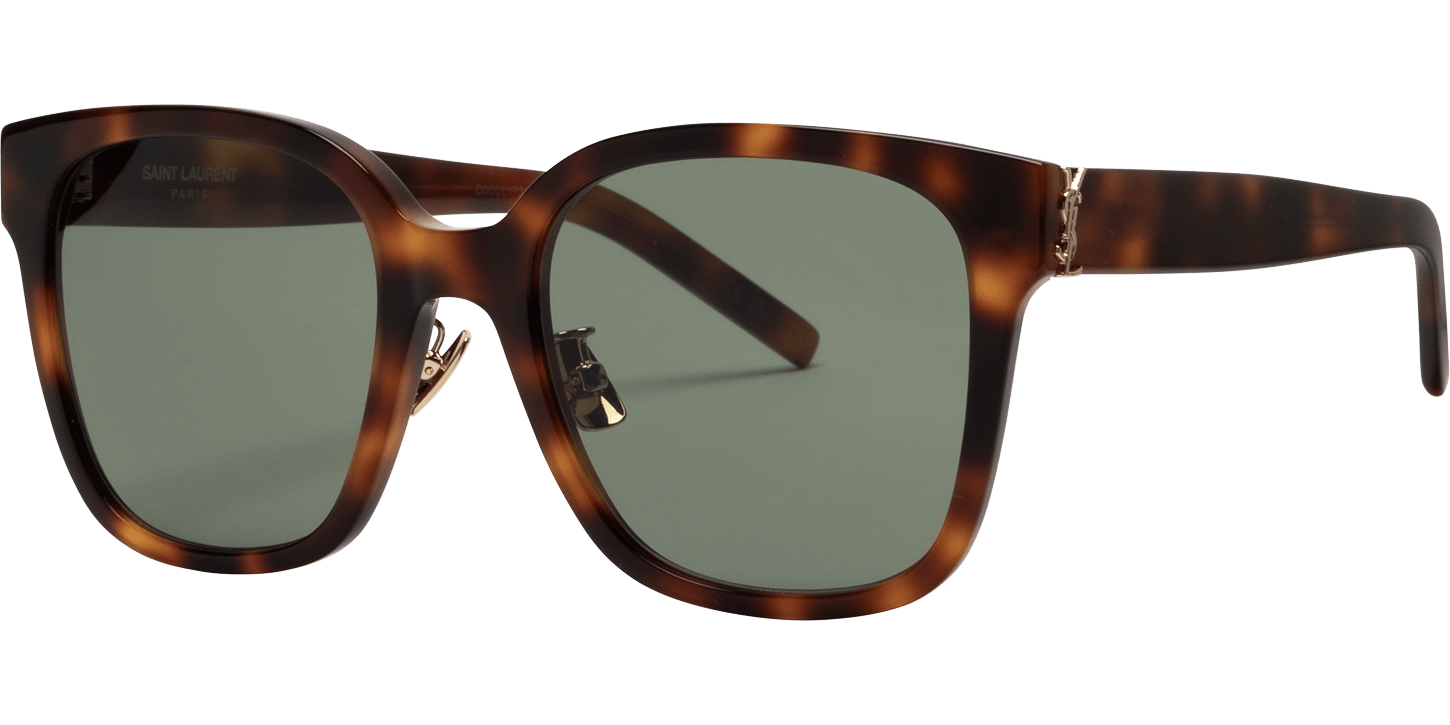 Saint Laurent SL M105/F image number null