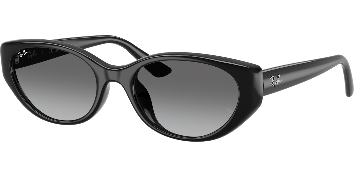 Ray-Ban 0RB4457D image number null