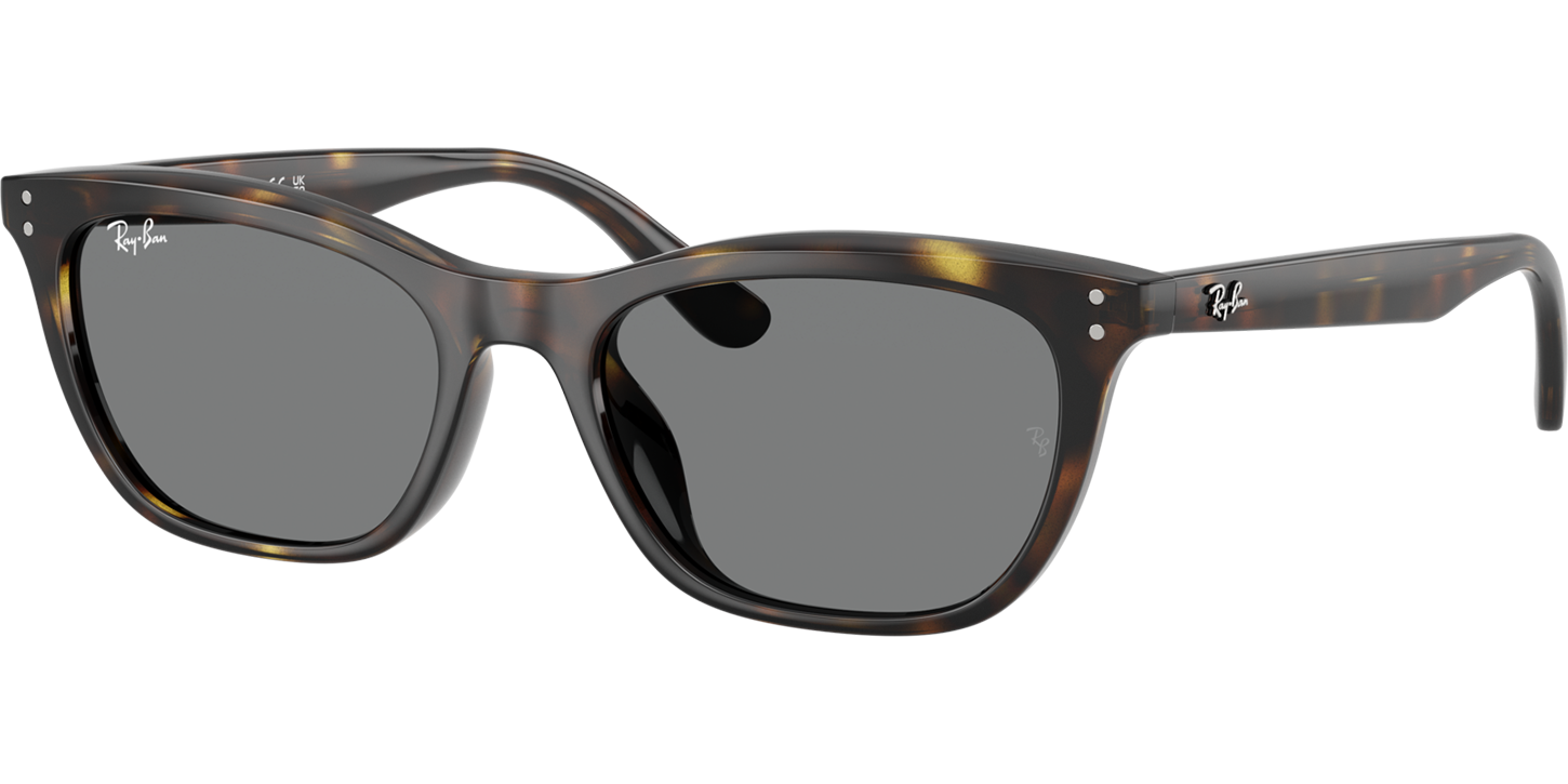 Ray-Ban 4474D  image number null