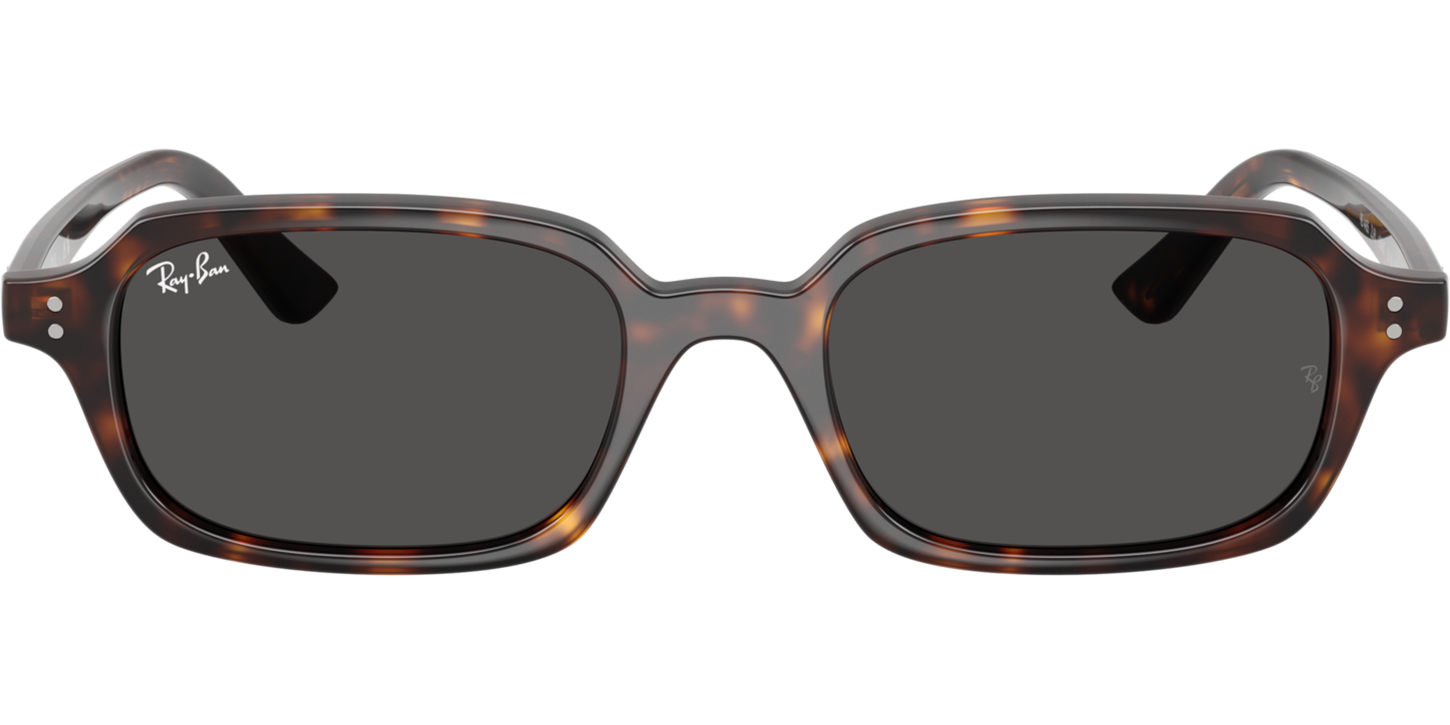Ray-Ban Zuri 0RB4455 image number null