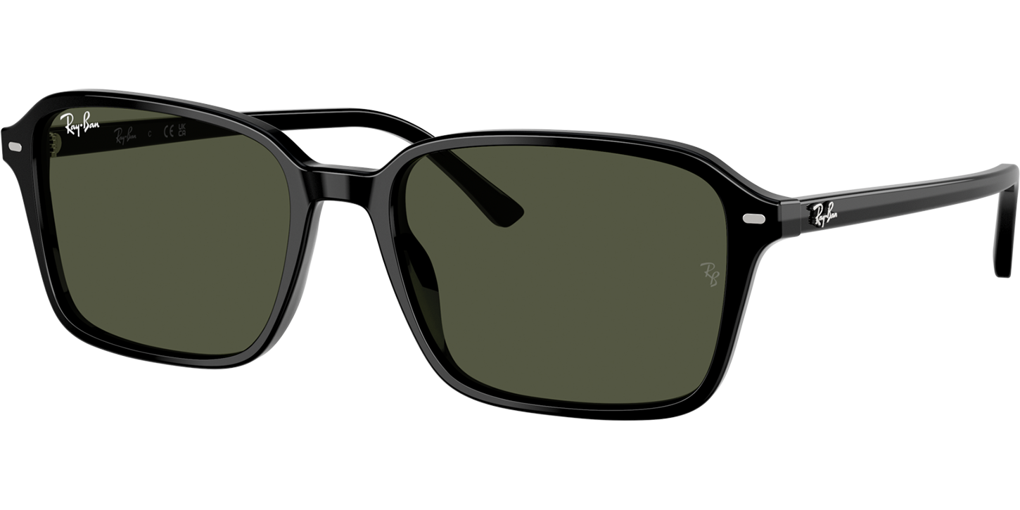 Ray-Ban RAIMOND 0RB2231 image number null