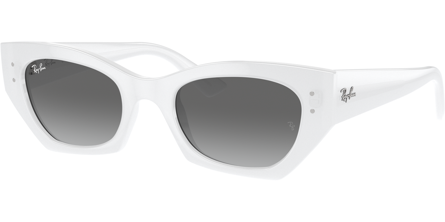 Ray-Ban ZENA 4430 image number null