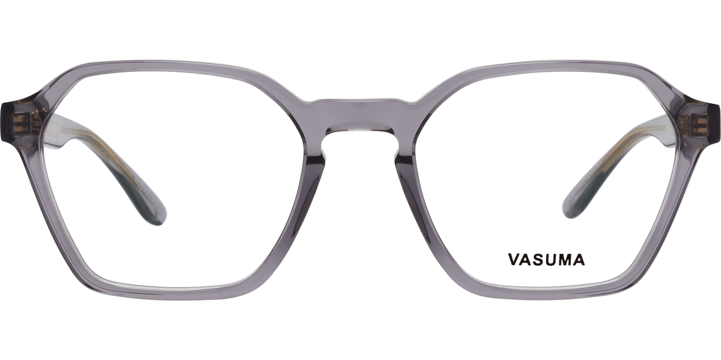 Vasuma Piscator image number null