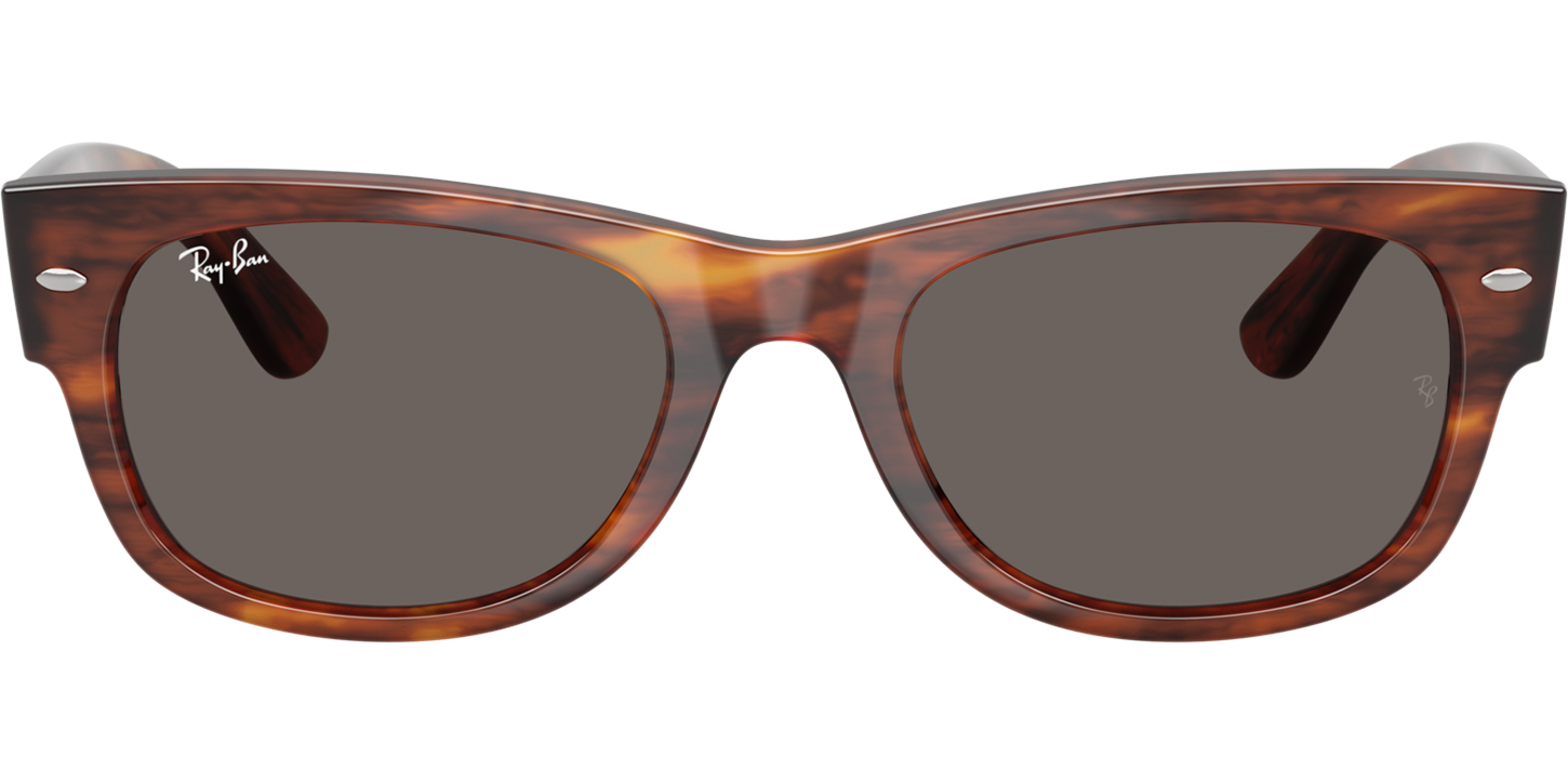 Ray-Ban Mega Wayfarer 0832S image number null
