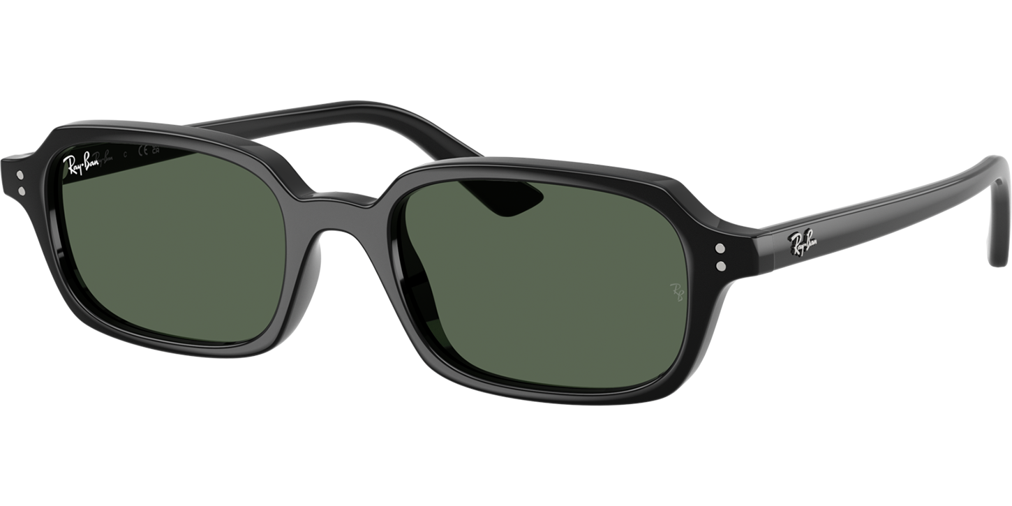 Ray-Ban Zuri 4455 image number null