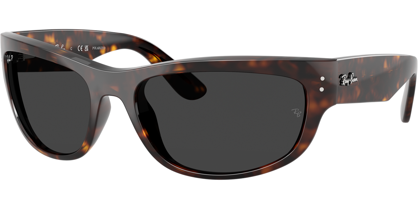 Ray-Ban BALORAMA XL 0RB2289 image number null
