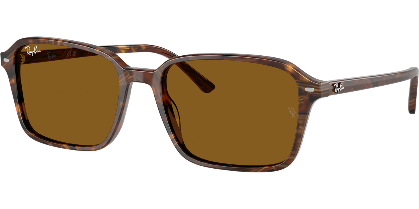 Ray-Ban RAIMOND 0RB2231 image number null