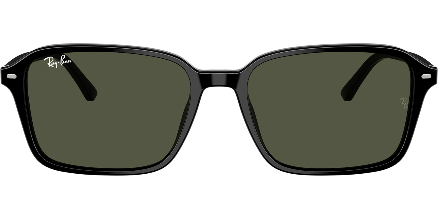 Ray-Ban RAIMOND 0RB2231 image number null