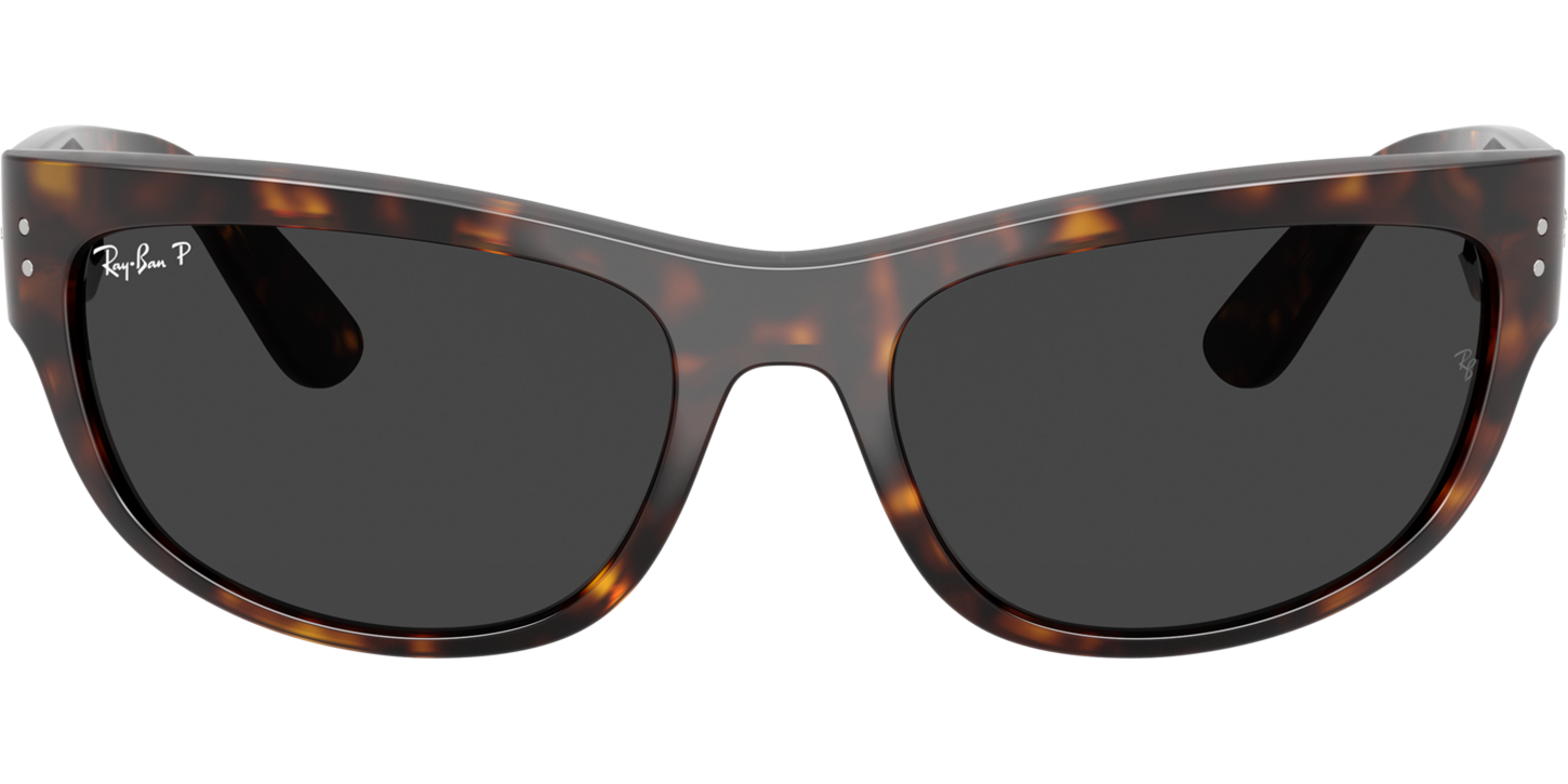 Ray-Ban BALORAMA XL 0RB2289 image number null