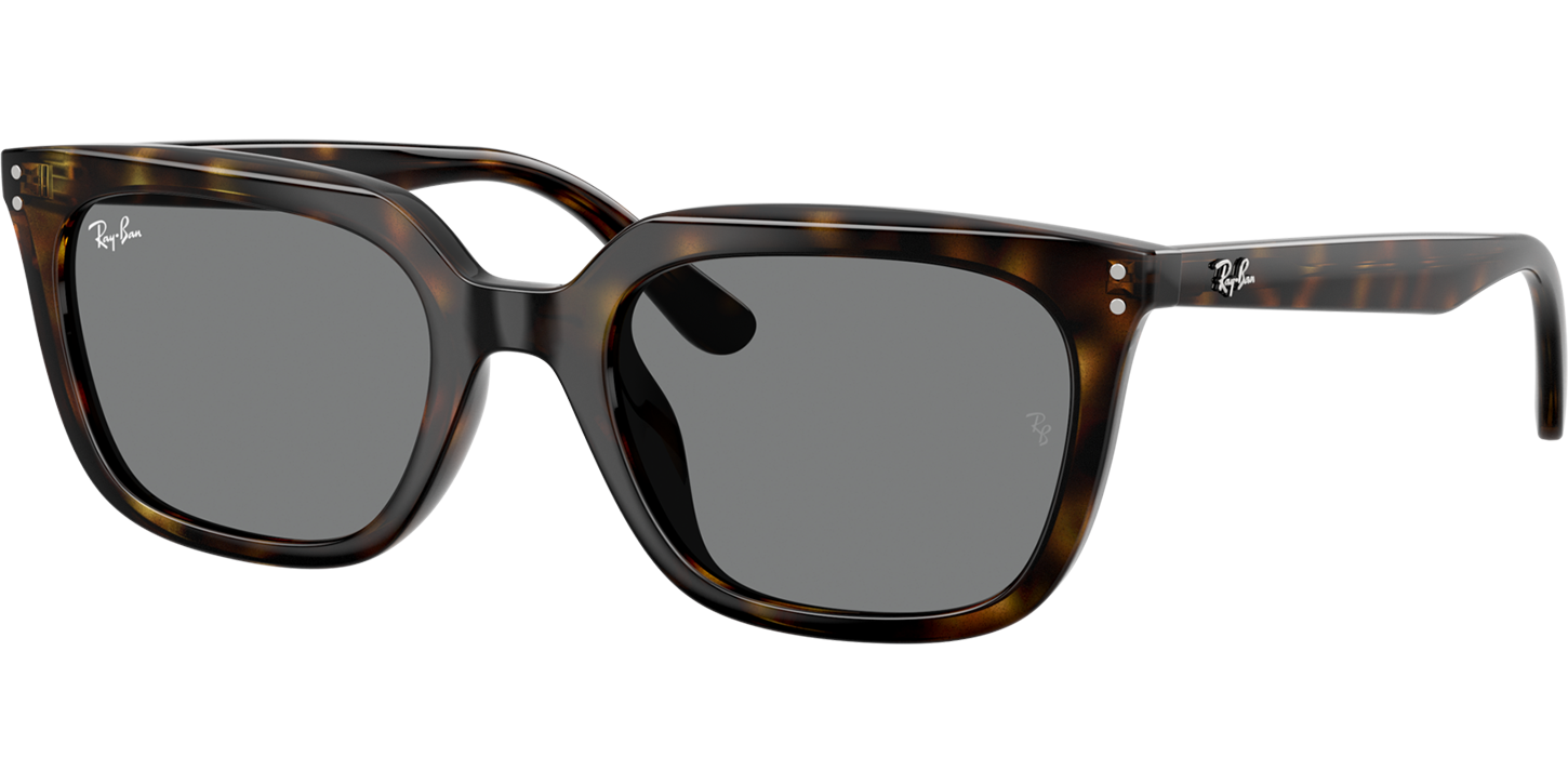 Ray-Ban 4439D image number null