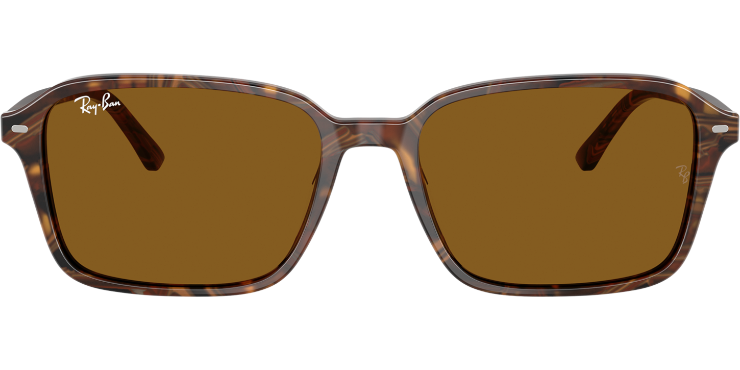 Ray-Ban RAIMOND 0RB2231 image number null