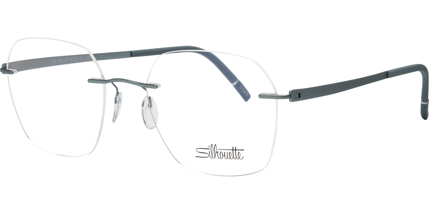 Silhouette 5529 image number null