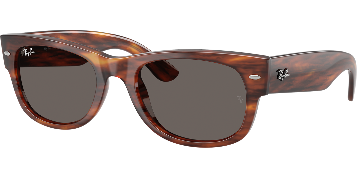 Ray-Ban Mega Wayfarer 0832S image number null