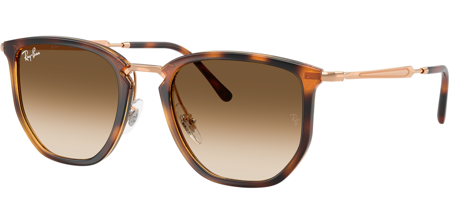 Ray-Ban 0RB4451 image number null
