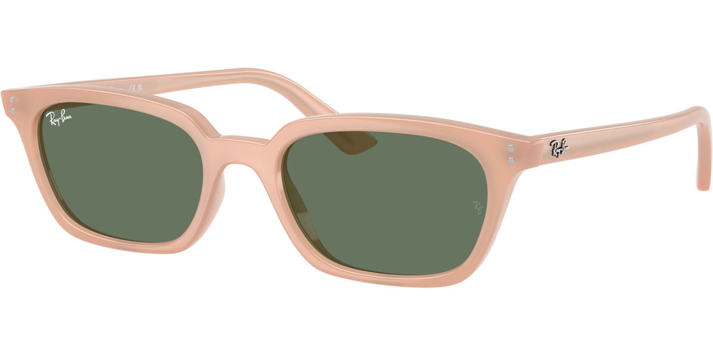 Ray-Ban Zaya 0RB4456 image number null