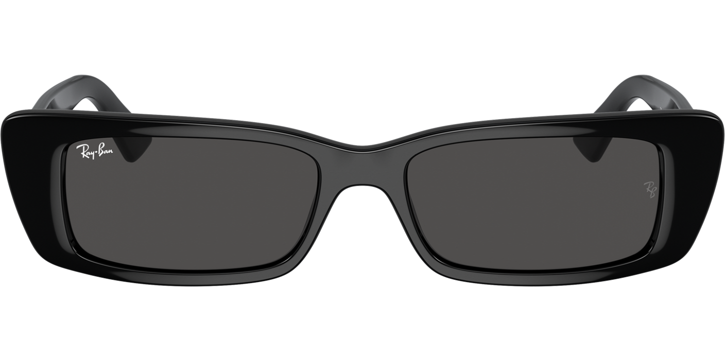 Ray-Ban TERU 4425 image number null