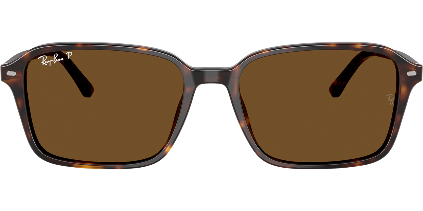 Ray-Ban RAIMOND 0RB2231 image number null