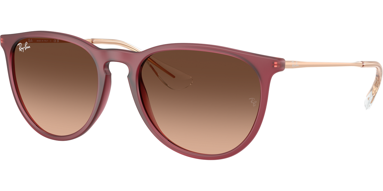 Ray-Ban Erika 0RB4171 image number null