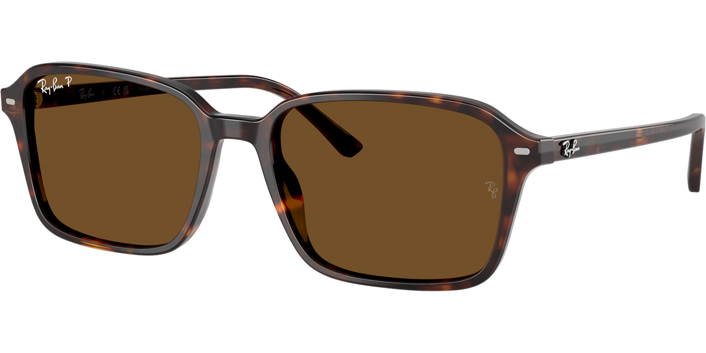 Ray-Ban RAIMOND 0RB2231 image number null