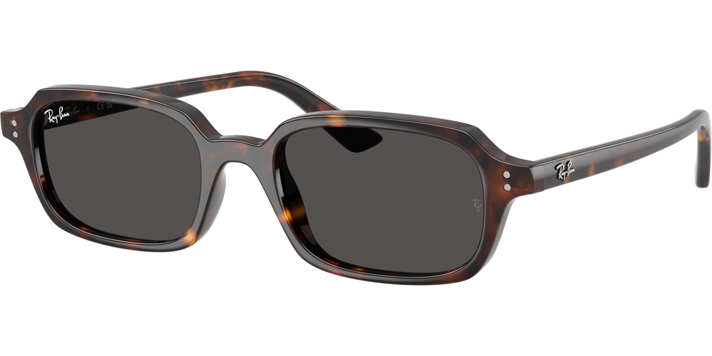 Ray-Ban Zuri 0RB4455 image number null